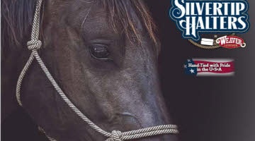 SilverTip Training Halter