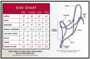 silvertip-size